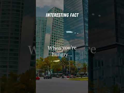 On Impulse: The Psychology Behind Spontaneous Decisions