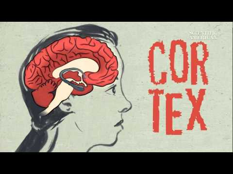 Benefits of Short Meditation for Daily Clarity and Focus