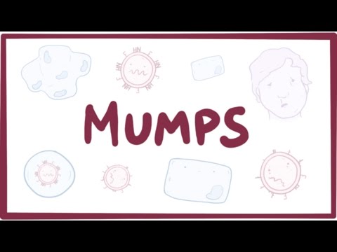 Mumps Diagnosis: Key Symptoms and Testing Methods