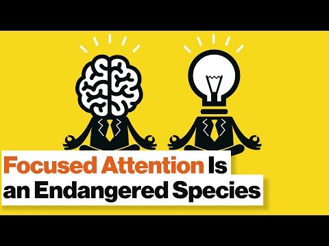 Mindfulness Exercises for Groups: Enhance Connection and Focus