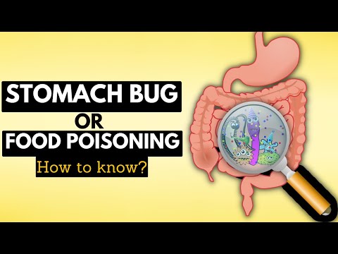 Most Common Cause of Food Poisoning and How to Avoid It
