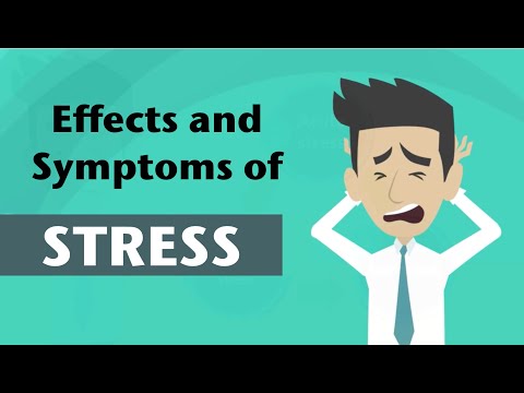 Symptoms of Stress in Psychology: What to Recognize and Address
