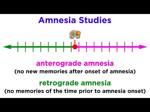 Human Cognition: Mechanisms and Processes Explained