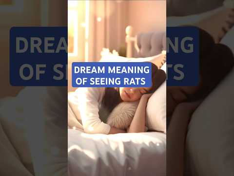 Dream About Rats: Meanings and Interpretations Explained
