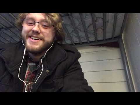 ESTP and INTP: Dynamics of Personality Interaction