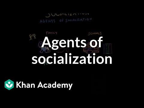 Cycle of Socialization: Influences on Identity and Behavior