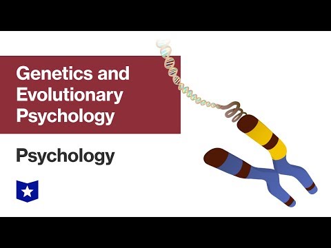 Evolution and Human Behavior: A Genetic Perspective