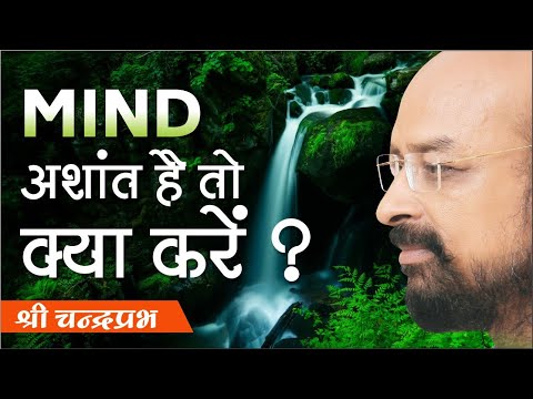 संबोधि मन पर हिंदी में जानकारी