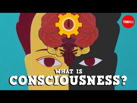Consciousness Psychology: The Study of Awareness and Mind