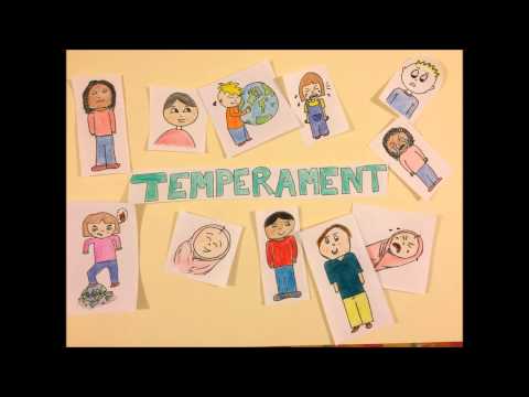 Chess Strategies and Thomas Temperament Connection