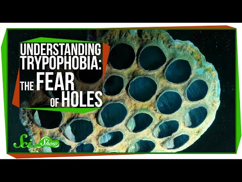 Phobia of Tiny Holes: Understanding Trypophobia Symptoms