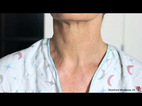 Vesicular Breathing: Key Features and Clinical Significance