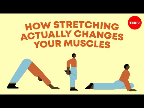 Practical Examples of Flexibility in Everyday Life