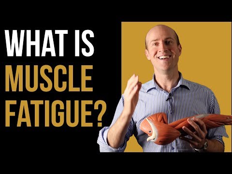 Muscle Fatigue After Exercise: Causes and Recovery Strategies