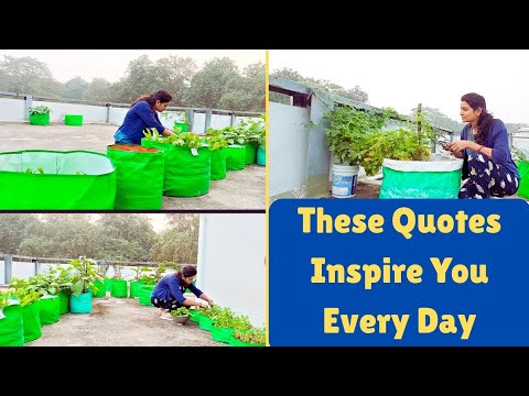 Self Motivation Quotes in Hindi for Daily Inspiration