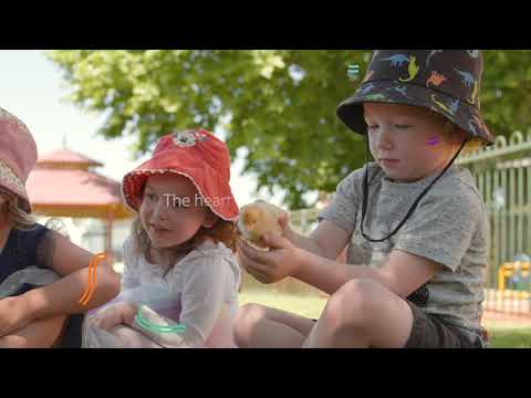 Mercy Place Keon Park: A Compassionate Care Community