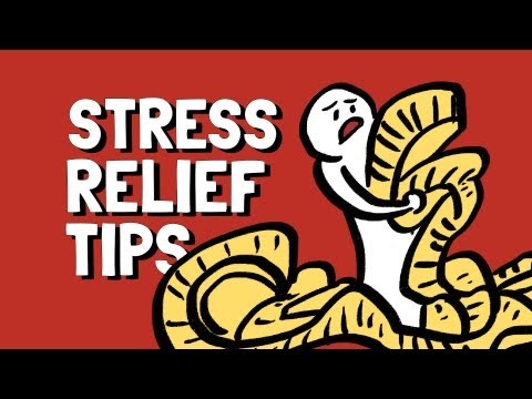 Managing Olly Stress: Effective Strategies for Relief