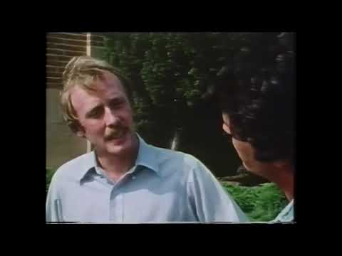 Neurotic Behavior Examples: Recognizing Common Traits