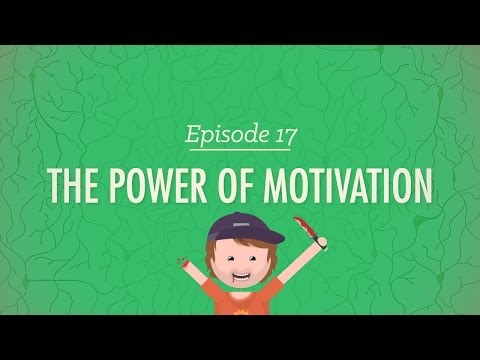 Motivation and Personality: The Connection Explained