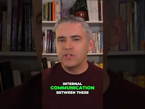 Definition of Split Personality: Key Concepts and Insights