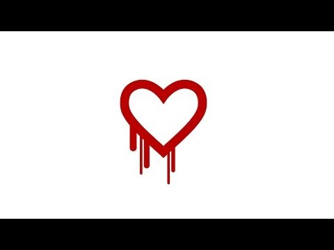Understanding the Heartbleed CVE Vulnerability and Its Risks