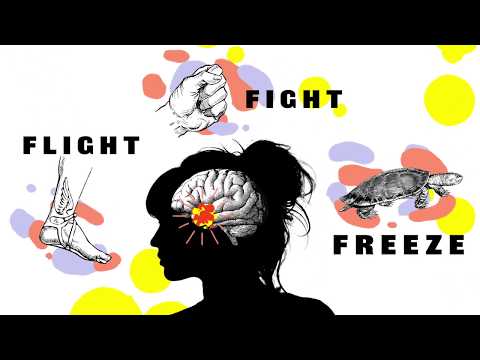 Understanding Fight and Flight Anxiety: Causes and Solutions