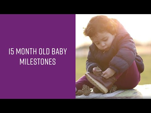 15 Month Developmental Milestones for Your Growing Child