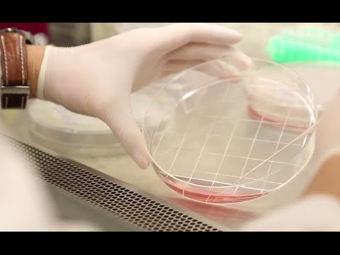 Understanding EIRB: Key Principles and Applications