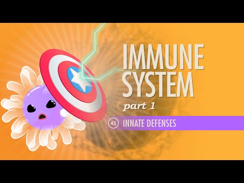 Understanding Immune System Diseases and Their Effects