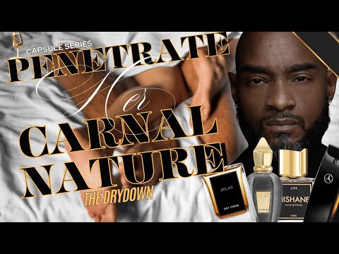 The Nature and Influence of Carnal Desire