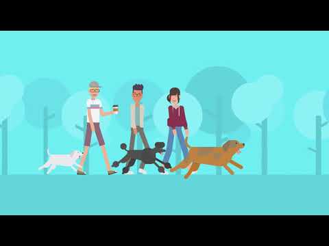 Social Wellness: Building Strong Connections for Better Health