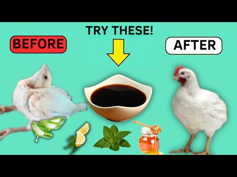 Ranikhet Disease: Causes, Symptoms, and Treatment Options