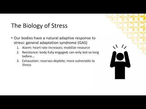 Effective Stress PPT Presentations for Your Audience