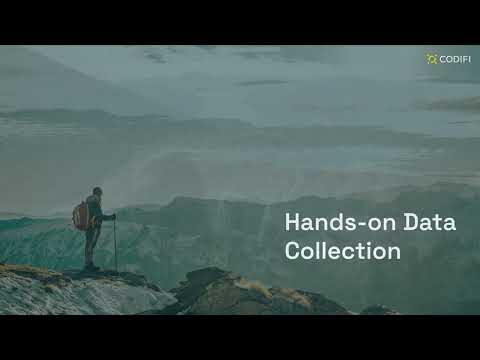 Understanding the Role of Survey Lines in Data Collection