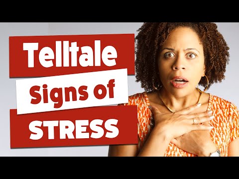 Recognizing the Signs of High Stress in Daily Life