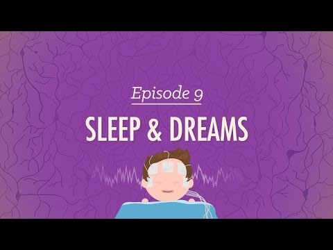 Dreams and Consciousness: The Interplay of Mind and Sleep