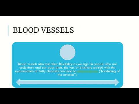 The Aging Process: Biological and Psychological Perspectives