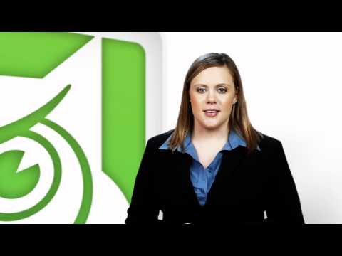 Owl Personality Traits: Insights into Their Unique Behaviors