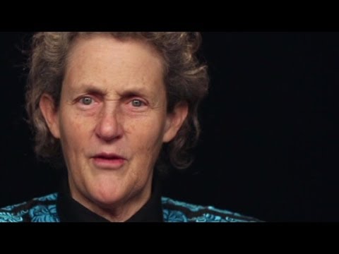 Neurodivergent Examples: Real-Life Experiences and Perspectives