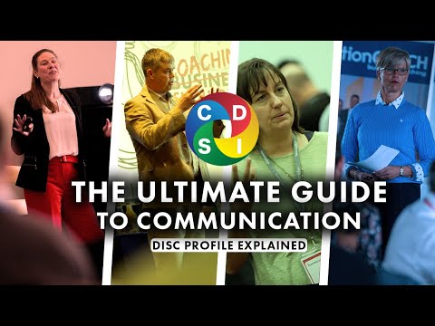 Disc Profile Analysis: Key Insights for Personal Growth