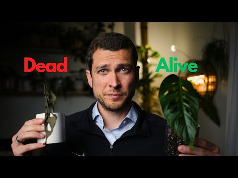 Building an Emotionally Connected Relationship for Lasting Love