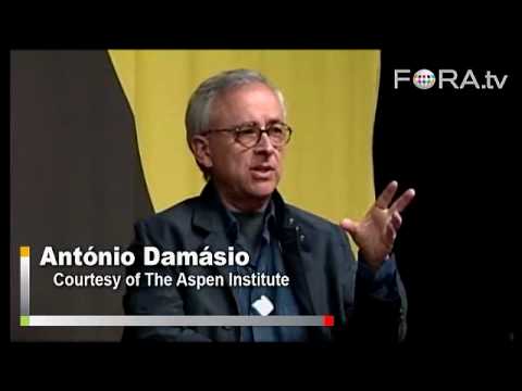 Antonio Damasio's The Feeling of What Happens Explained