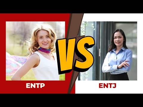 ENTP vs ENTJ: Key Differences and Similarities Explained