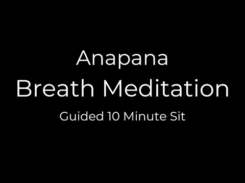 Anapana Meditation: Cultivating Mindfulness Through Breath