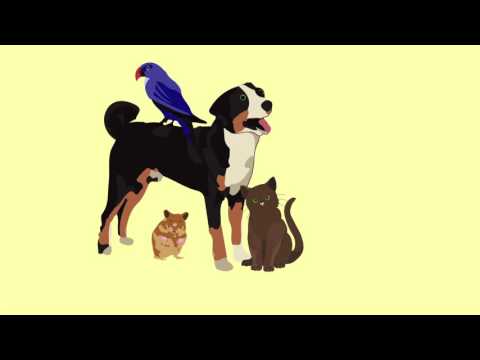 BMC Psychiatry Impact Factor: A Comprehensive Overview