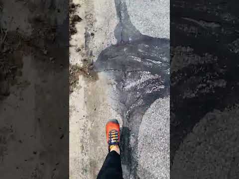 Building a Thriving Wellness District in Your Community