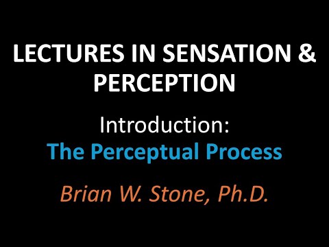 Perception and Sensation in Psychological Science