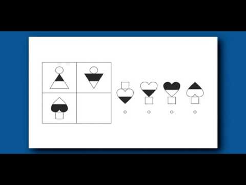 Kbit 2: Key Features and Applications in Digital Media