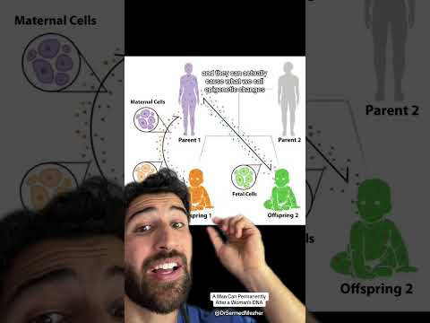 Male Pseudohermaphroditism: Clinical Insights and Implications