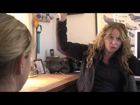 Animal Personality Types: Traits and Characteristics Explained